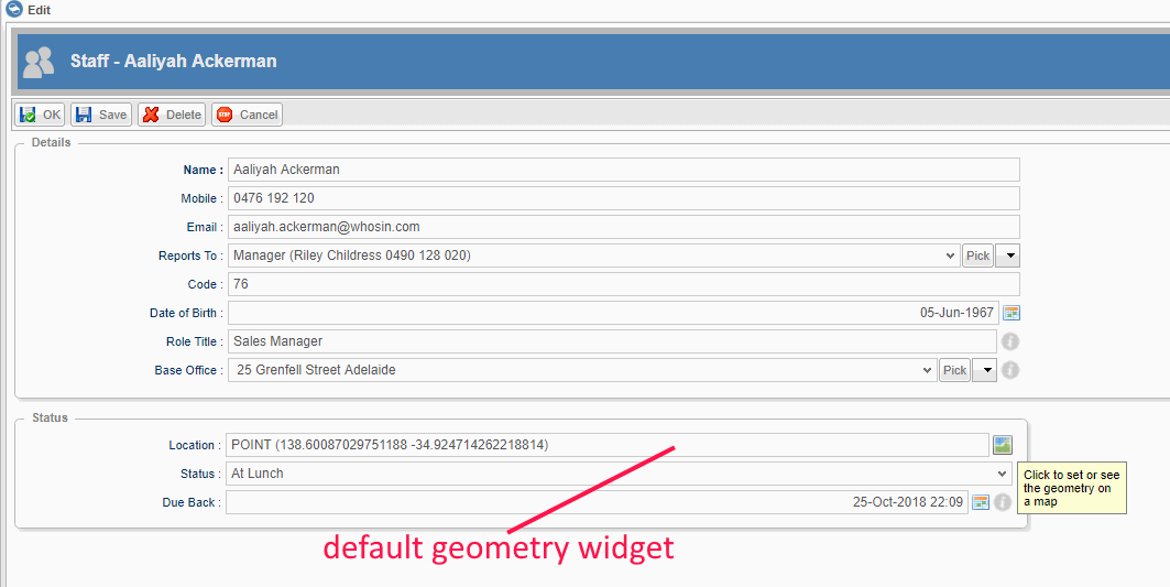 Default geometry widget